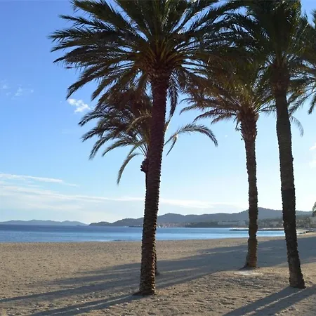 Avec Piscine, 5 Couchages, Parking, Le Lavandou - Fr-1-251-908